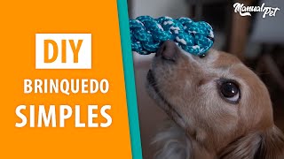 DIY  Saiba como fazer um brinquedo simples para seu pet [upl. by Yrannav]