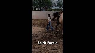 Mi caballo Spirit Favela está siendo arrendado y estoy muy contenta de su avance cowgirl [upl. by Sailesh613]