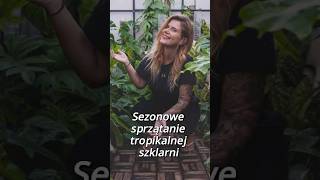 Sezonowe sprzątanie SZKLARNI i POGADANKA 🌱 [upl. by Aicemaj]