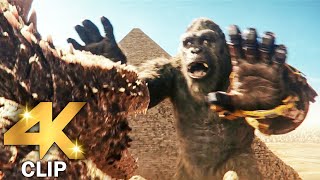 Godzilla Vs Kong  GODZILLA X KONG THE NEW EMPIRE 2024 Movie CLIP 4K [upl. by Cherish822]