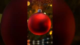 Happy Christmas🎄🎅🎶 christmas christmassongs christmasmusic santaclaus jinglebells [upl. by Puett]