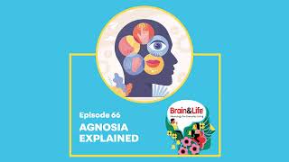 What is Agnosia and How Does it Affect the Brain’s Perception Brain amp Life Podcast [upl. by Suzie]