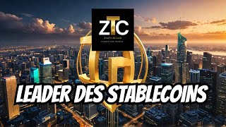 Tether USDT le stablecoin le plus capitalisé du marché des cryptomonnaies [upl. by Narf]