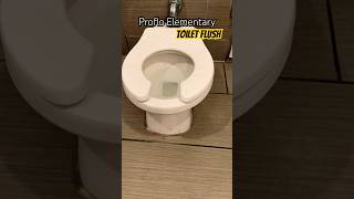 Proflo Elementary Toilet Flush for the Kiddos  Shops at Santa Anita Arcadia Mall California USA [upl. by Renzo]