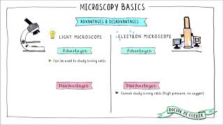 MICROSCOPY BASICS Edexcel 91 GCSE Biology Topic 1 Key Concepts in Biology [upl. by Oilalue]