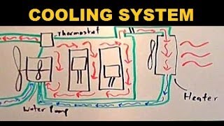 Radiators  Explained [upl. by Acherman]