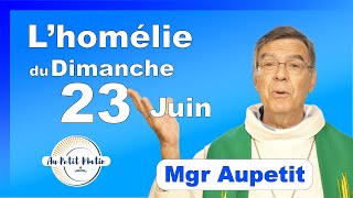 Évangile et homélie du Dimanche 23 Juin  Avec Mgr Aupetit [upl. by Edmea]