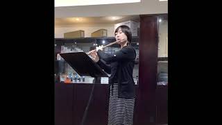 【開箱】宮澤手工長笛 Miyazawa Flute BR14K2REH 14K金（附試奏片段） [upl. by Pauletta889]