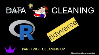 Data Cleaning in the R tidyverse Cleaning Up [upl. by Irej]