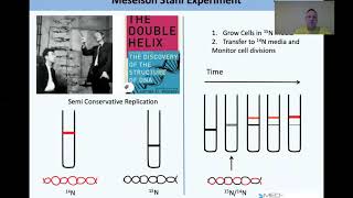 Medpathway MCAT Test Prep High Yield Cell BiologyBiochemistry of Cell Cycle amp DNA Replication [upl. by Walden]