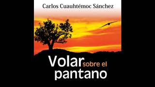 Volar sobre el pantano CAP 1  Carlos Cuauhtémoc AUDIOBOOK VOZ HUMANA FEMENINA [upl. by Rattan847]