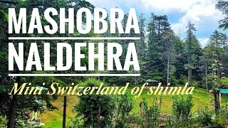 Mashobra  Shimla Naldehra Beautiful Places to visit in Upper Shimla Mashobra [upl. by Elesig]