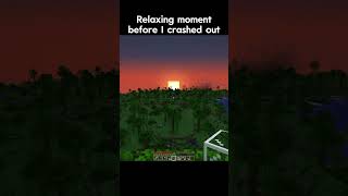 The Minecraft Experience  minecraft minecraftshorts minecraftmemes [upl. by Oiled865]