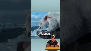 How to survive a polar bear attack [upl. by Najed158]