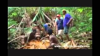 Tribus Dani amp Korowai live Callejeros Viajeros Papua Parte 06 [upl. by Freyah]