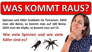 🚀🚀🚀 BERECHNE die ANZAHL der SPINNEN und KÄFER  Mathe RÄTSEL Tiere [upl. by Ateerys497]