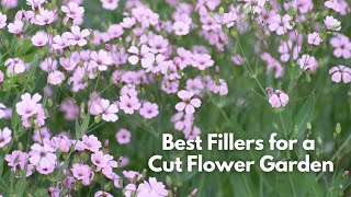 Best Filler Flowers for a Cutting Garden [upl. by Lierbag]