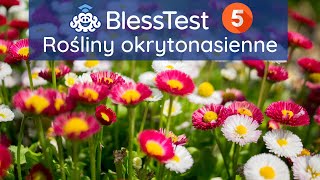 Biologia klasa 5  Rośliny okrytonasienne [upl. by Enelhtak]