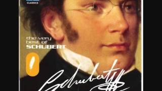 Franz Schubert  Ave Maria [upl. by Reeher874]