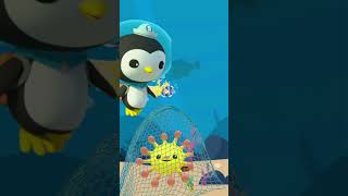 Octonauts Peso Saves Corey  quotPesos Brave Rescue Saving Corey from the Netquot Corey Octonauts [upl. by Hui]