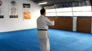 Uechi Ryu  Kanshiwa  Kata [upl. by Auop]