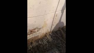 Drilling Weep Holes In A Block Wall [upl. by Pessa]