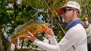 Exploring New Waters on Lake Ida  4K [upl. by Anos807]