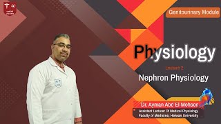 2 Nephron Physiology [upl. by Atterehs]