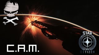 Star Citizen  CAM Gravity is a bi¢th 03042019 [upl. by Kauppi]