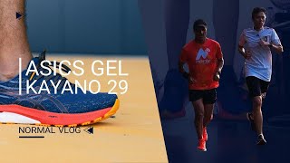 ASICS Gel Kayano 29 Normal vlog [upl. by Senskell]