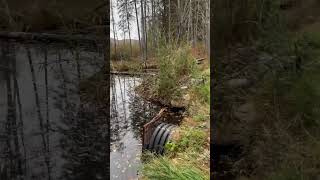 New storm drain exciting scary stormwaterdrain exercise abandoned stormdrain explore funny [upl. by Ikilisav]