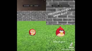 Angry Birds 3D L1 TikTok Duet 1022024 [upl. by Dev]