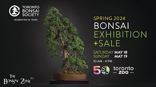 The Toronto Bonsai Societys Spring Show and Sale The Bonsai Zone May 2024 [upl. by Frank]