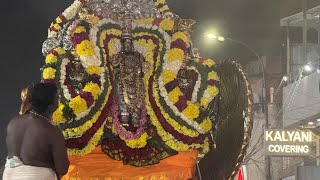 Thirumylai singara velar soora samharam ♥️♥️ [upl. by Midas]