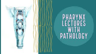 PAROTID ABSCESS explanation PHARYNX lecture 17 [upl. by Nylsirhc85]