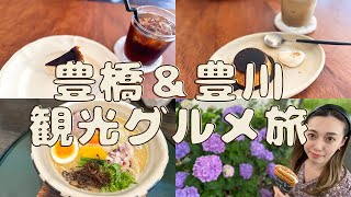 【グルメ観光】隠れた穴場なお店が潜んでる【愛知県豊橋市・豊川市】 [upl. by Derreg438]