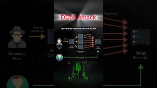 DDoS attack cybersecurity ethicalhacking viral [upl. by Shelley]