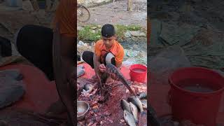 Amazing Big Ruhi Fish Cutting Skills fish fishcuting fishcuttingskill youtubeshorts [upl. by Norword]