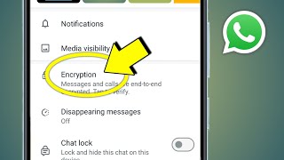 Encryption Whatsapp Kya Hai  Encryption Whatsapp Matlab Kya Hota Hai [upl. by Mendel723]