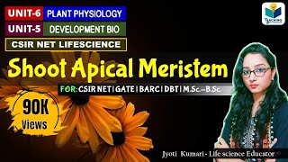 SHOOT APICAL MERISTEM SAM  CSIR NET  PLANT BIOLOGY [upl. by Brittne]