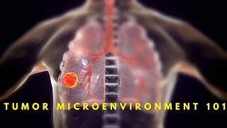 Tumor Microenvironment 101 [upl. by Deehahs]