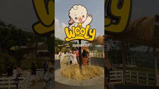 Wooly Sheep Cafe Sentul Bogor shorts cafe sentul bogor [upl. by Auqined]