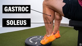 Calf Muscle Strain Injury Best Exercises for Rehab and How to Return to Running [upl. by Nagol]