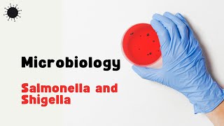 Microbiology  Practical  Salmonella and Shigella [upl. by Adis]