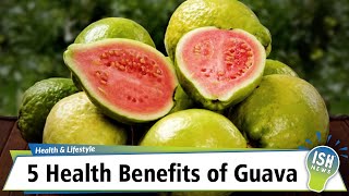 5 Health Benefits of Guava [upl. by Aihsyak760]