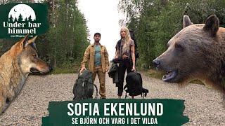 Smyger på vilda vargar och björnar vid ryska gränsen med Sofia Ekenlund  Under bar himmel S02E09 [upl. by Hannasus]