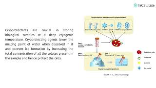 What are the most commonly used cryoprotectants [upl. by Intihw]