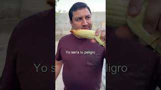 Si fueras un elote 🌽❤️ julionalvarez lospasosdejulion julionalvarezysunorteñobanda [upl. by Camfort620]