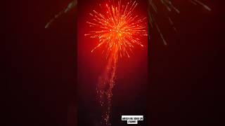 55quot Shot penta Skyshot shots fireworks diwali viralshots [upl. by Cavallaro522]