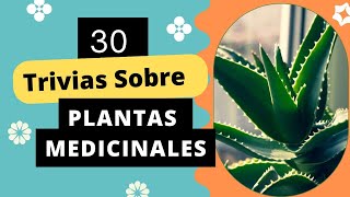 🤔 Trivias de Plantas Medicinales❓❔ [upl. by Sass]